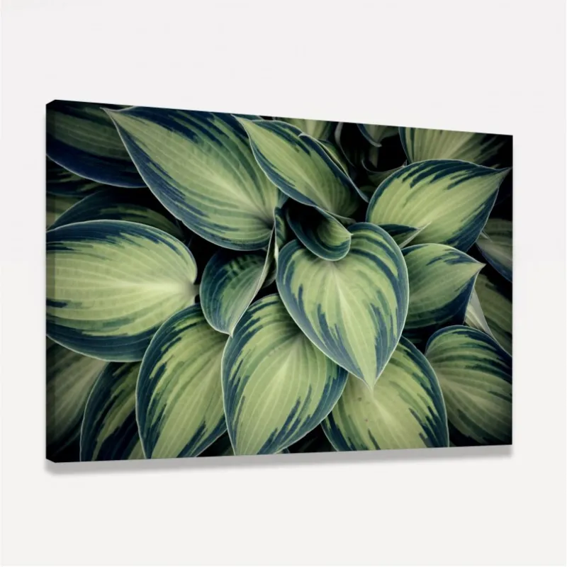 Quadro Planta Folhas Verdes