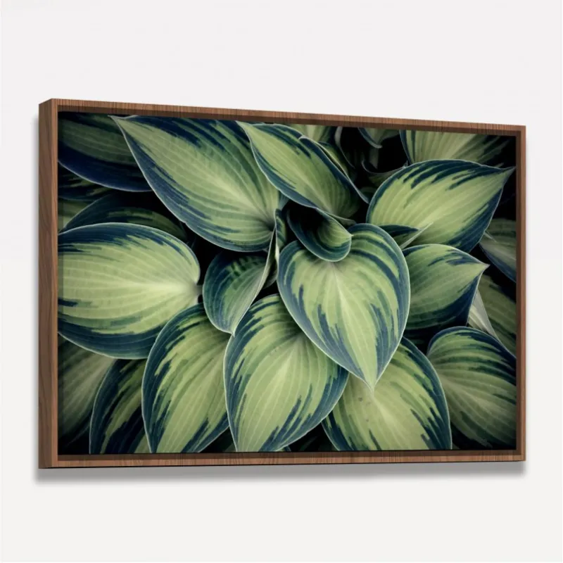 Quadro Planta Folhas Verdes