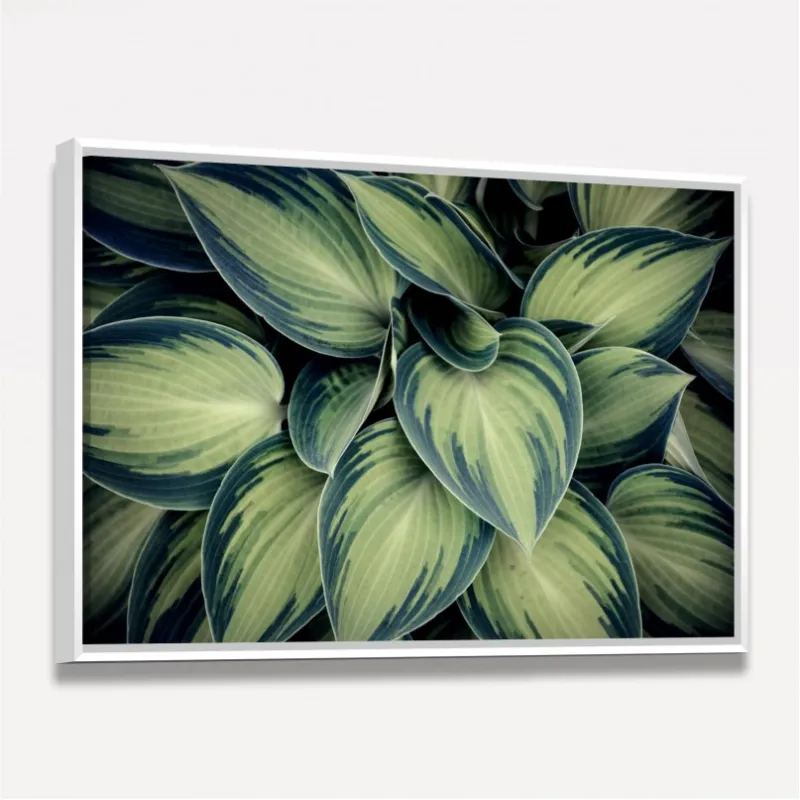 Quadro Planta Folhas Verdes