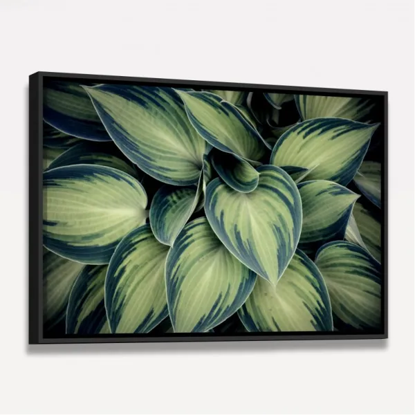 Quadro Planta Folhas Verdes