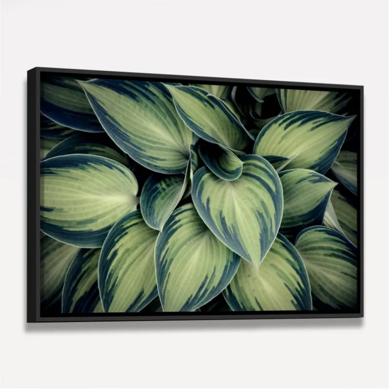 Quadro Planta Folhas Verdes