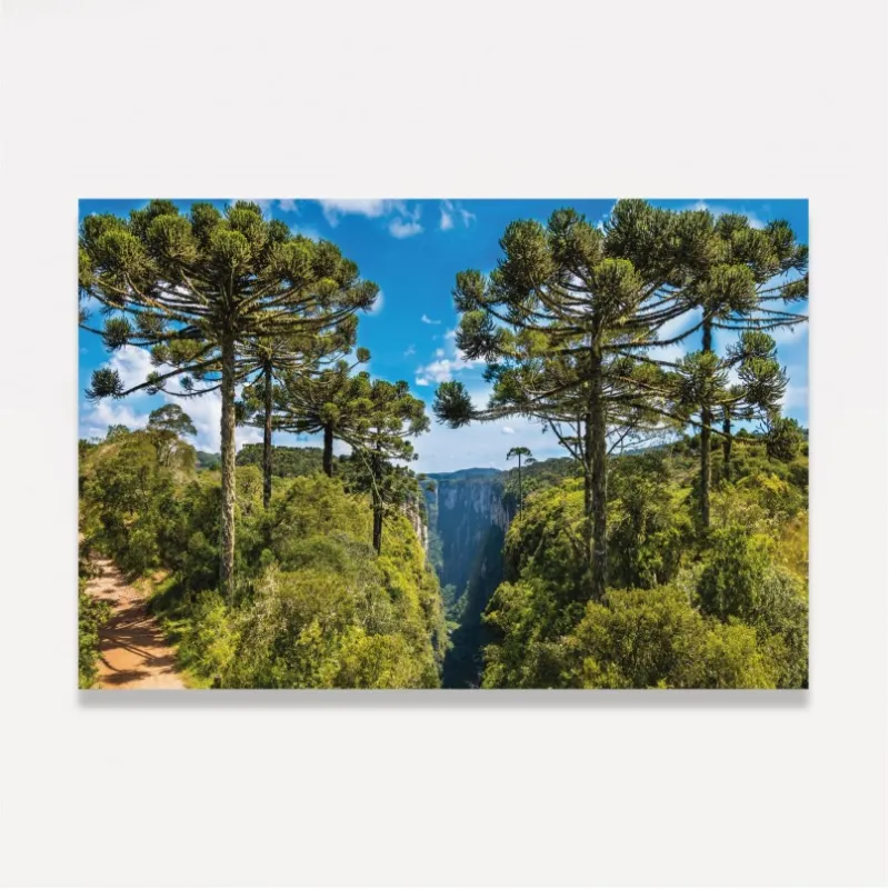 Quadro Paisagem Araucárias