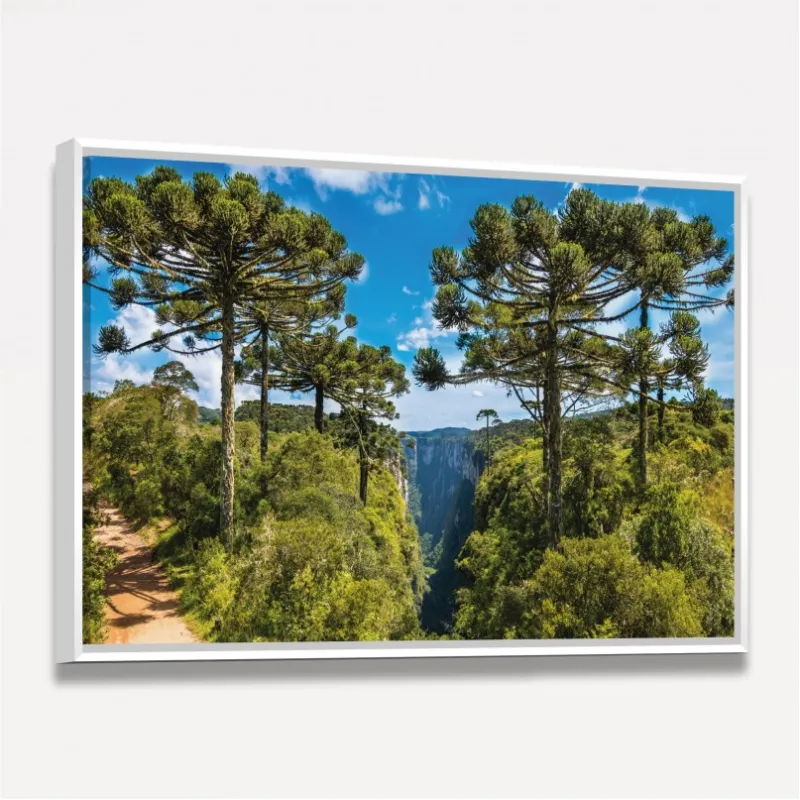 Quadro Paisagem Araucárias