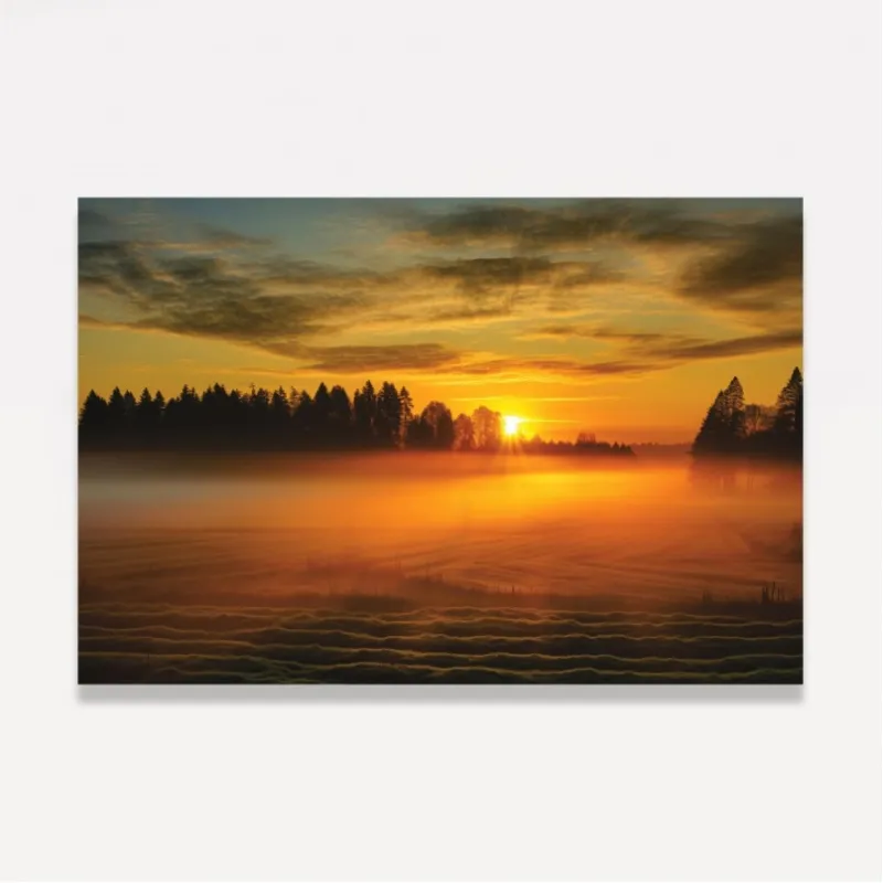 Quadro Paisagem Campo Neblinado ao Amanhecer