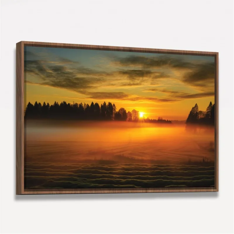 Quadro Paisagem Campo Neblinado ao Amanhecer