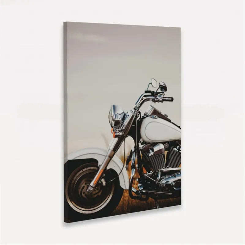 Quadro Moto Retro do Roadster Branca