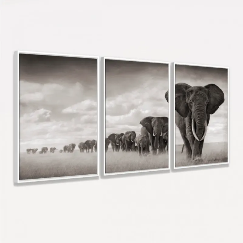 Quadros Decorativos Manada De Elefantes