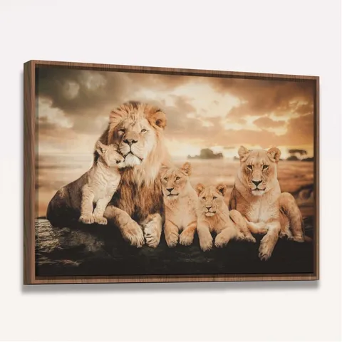 Quadro Família de Leões 3 Filhotes Artístico