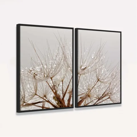 Quadro Dente de Leão Floral Gotas de Água Delicadas