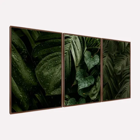 Quadro Plantas Naturais Folhagem Maravilhosa Gotas de Chuva