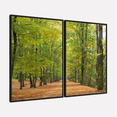 Quadro Paisagem Inspiração Natural Atmosfera Serena