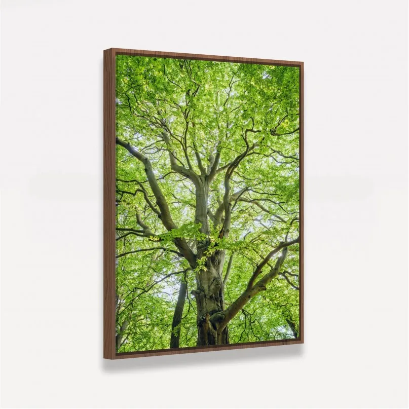 Quadro Entre Folhas e Ramos