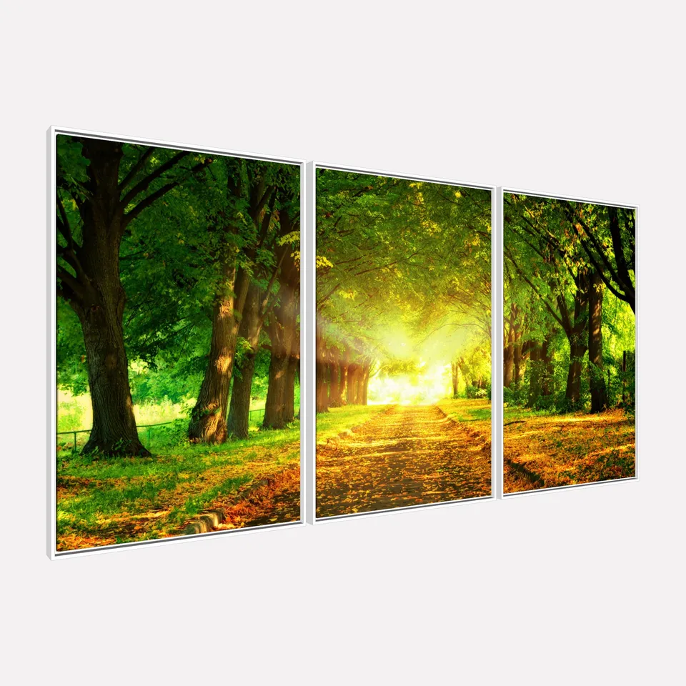 Quadro Paisagem Árvores dos Sonhos Caminho Iluminado